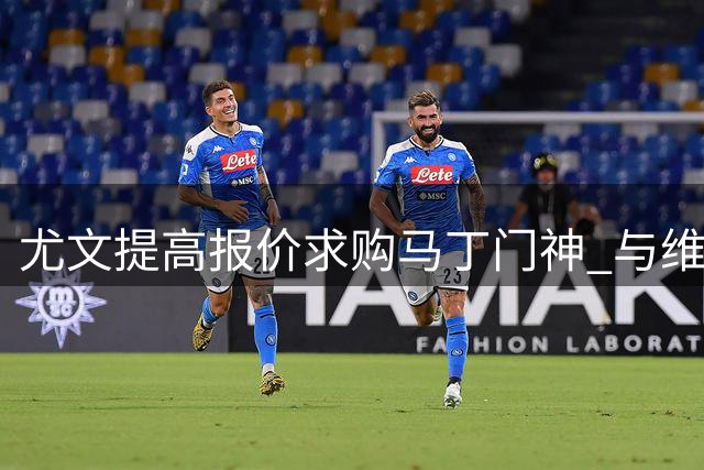 尤文提高报价求购马丁门神 与维拉心理价位仍存差距