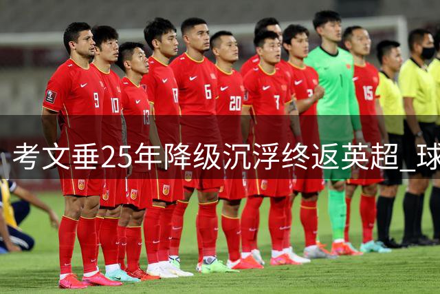 考文垂25年降级沉浮终返英超 球迷举牌“我们会回来”兑现
